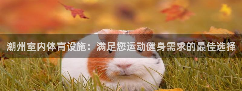 尊龙凯时取款有要求吗