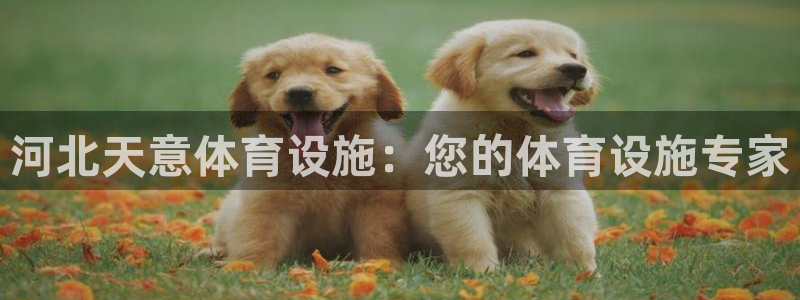 凯时国际娱乐官方网址