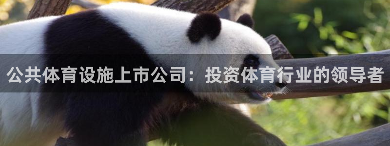 下载尊龙