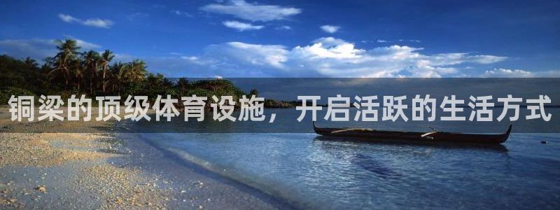 尊龙游戏官方网