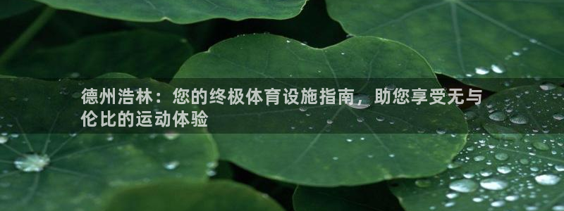 尊龙集团有限公司