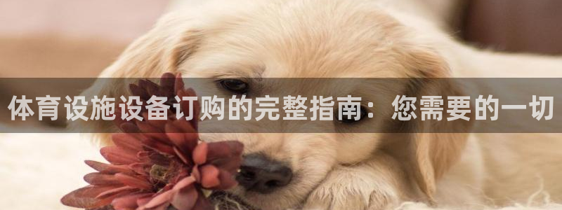 尊龙凯时 - 人生就是搏手机登录