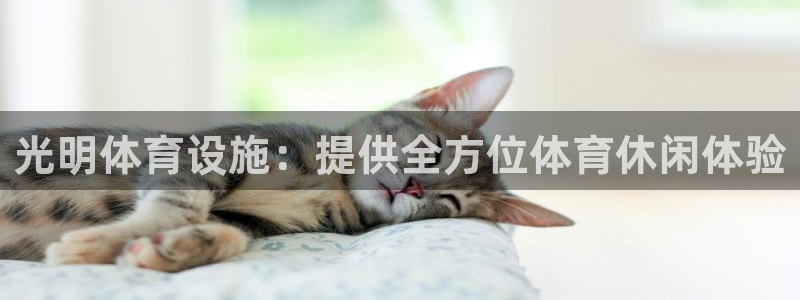 尊龙凯时官网平台