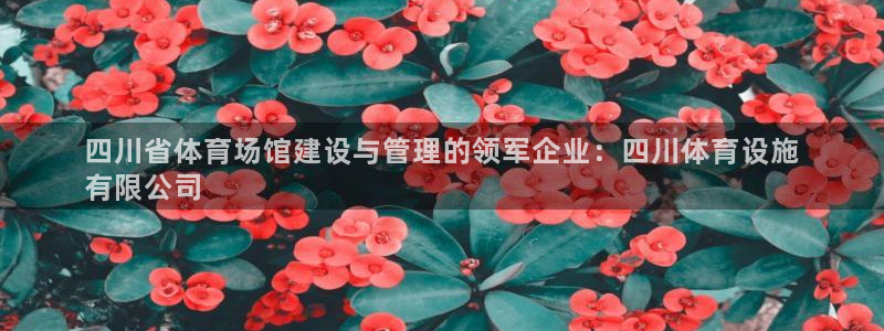 凯时效果怎么样