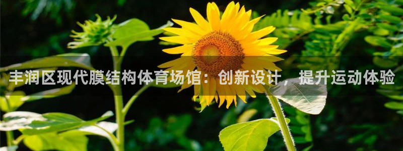 尊龙凯时开发