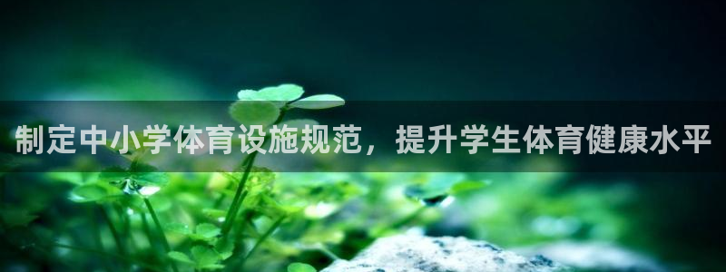 尊龙凯时平台入口