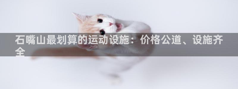尊龙游戏官网游戏特色