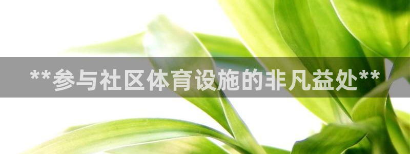 尊龙 下载