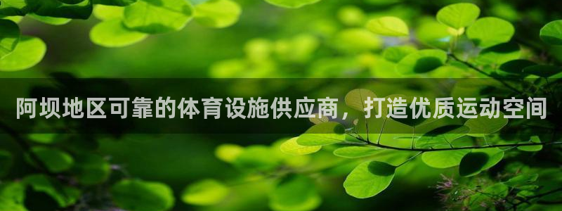 尊龙体育电竞官网