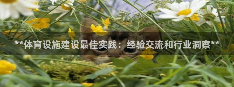 尊龙d88手机登录免费下载