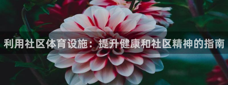 尊龙凯时法拉币