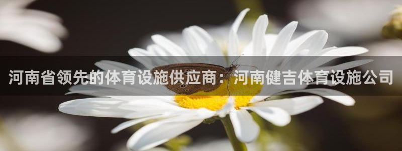 尊龙人生就是博官