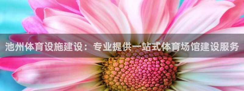 尊龙凯时人生就是搏·(中国)官网