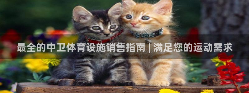 旧版尊龙人生就是博下载