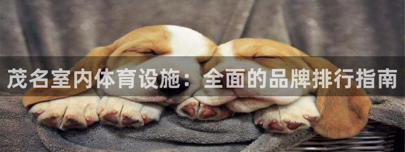 凯时国际app首页下载