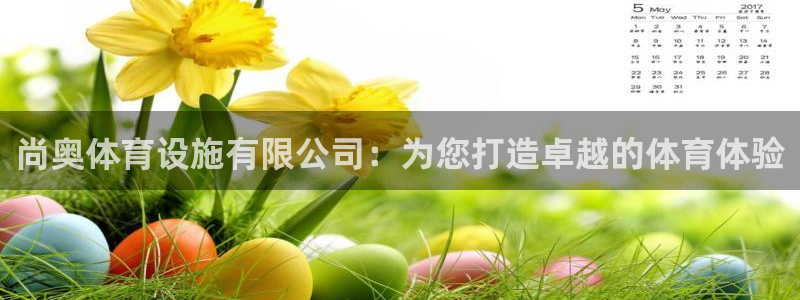 尊龙凯时发展历程