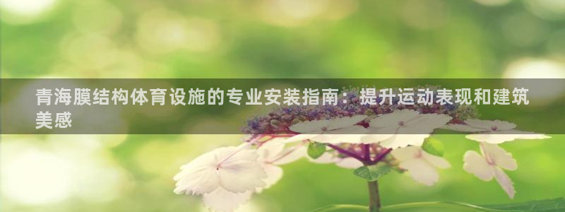 ag尊龙怎么样