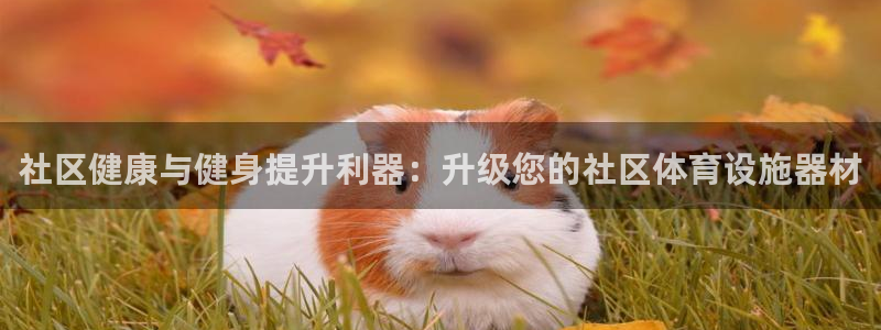 尊龙人生就是博官方官网