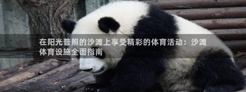 凯时app官网首页