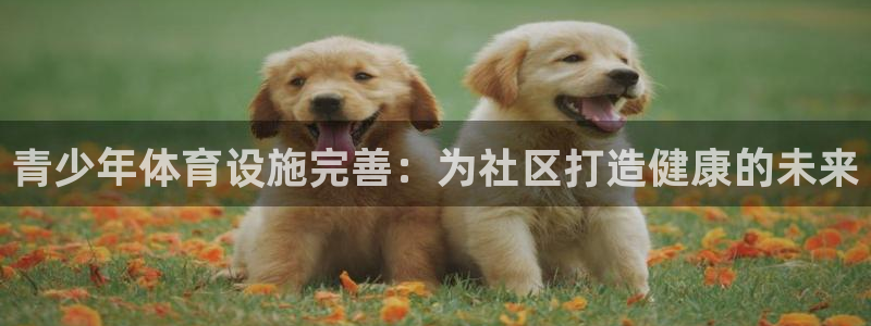 尊龙体育游戏平台