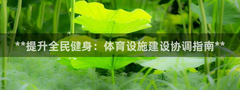 尊龙凯时平台还是万博好