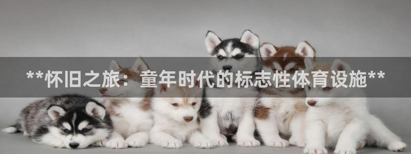尊龙凯时人生就博