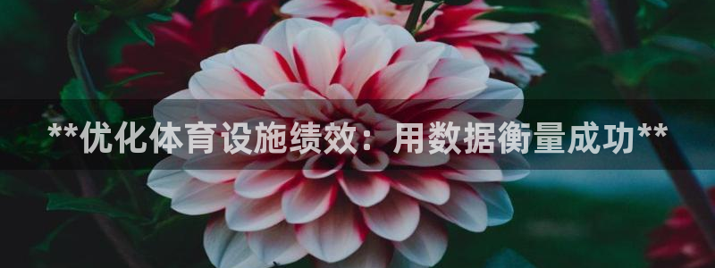 尊龙多少岁