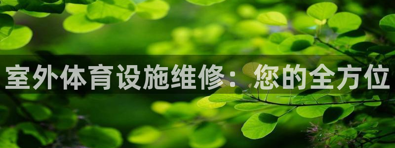 尊龙凯时网页版