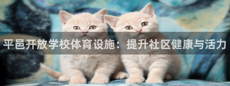 尊龙凯时网
