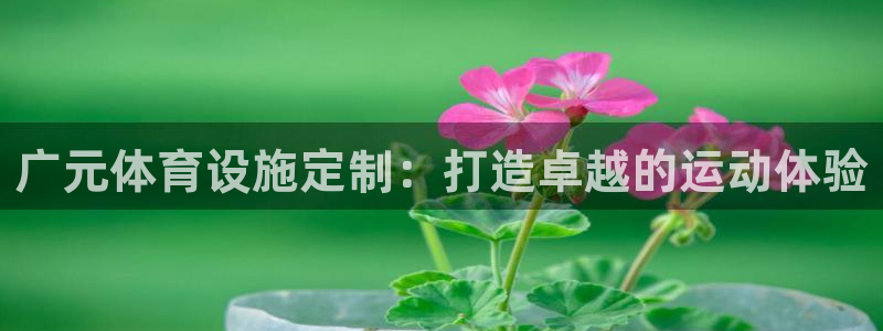 尊龙凯时集团