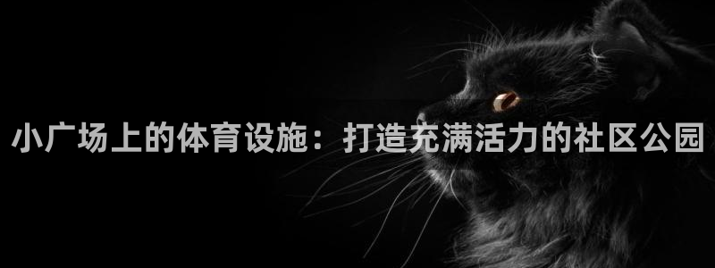 尊龙凯时提不了款