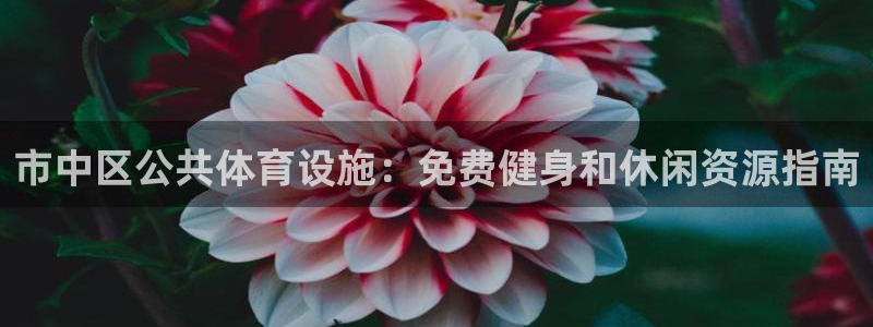 尊龙凯时人生就是搏官方网站