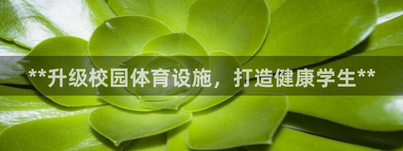 尊龙凯时网站网址