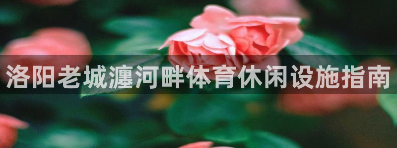 尊龙ag旗舰厅登陆