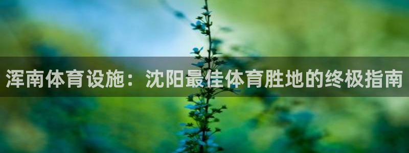 尊龙人生就是博旧版现