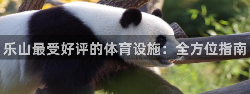 百度一下尊龙