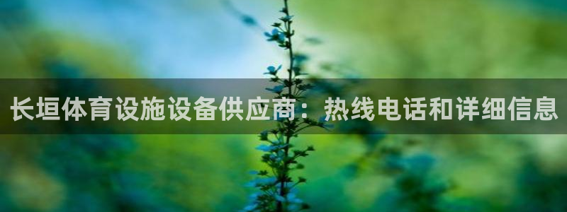 尊龙凯时输了100万