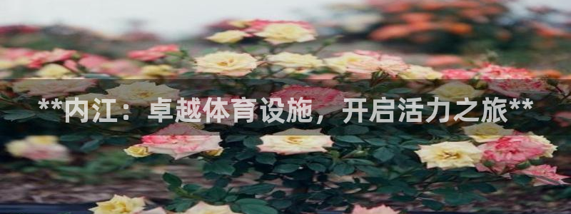 尊龙人生就是博登录