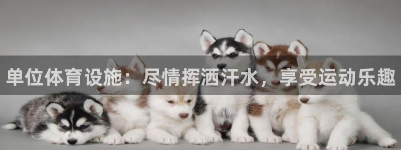尊龙网站下分慢