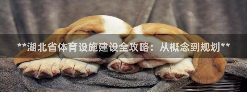 尊龙官方网站首页