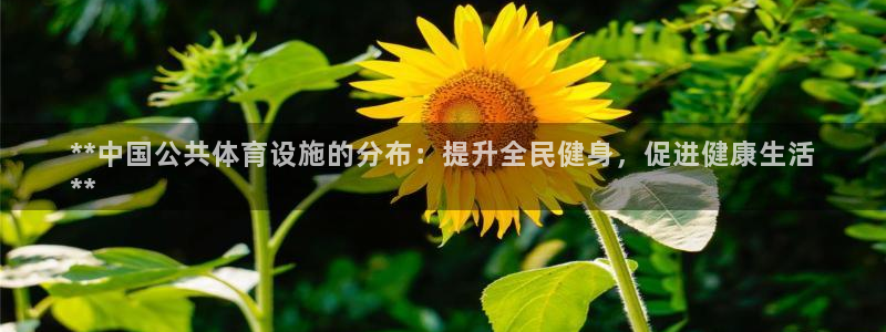 尊龙d88官网登录