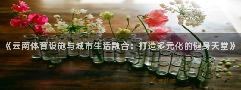 尊龙凯时链接