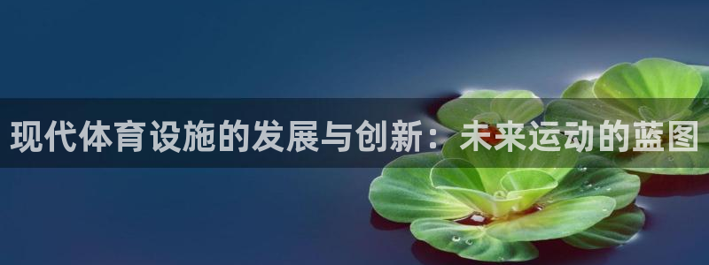 尊龙官方网站最新版V9.3.06