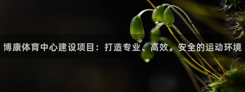 尊龙品牌怎么样