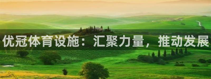 尊龙官网手机版