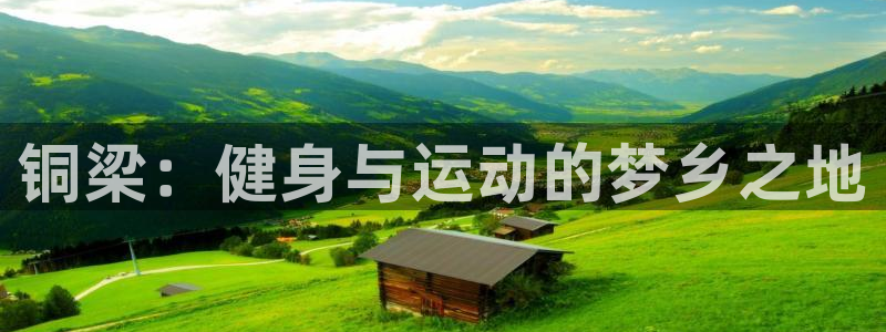 尊龙凯时处理未到账