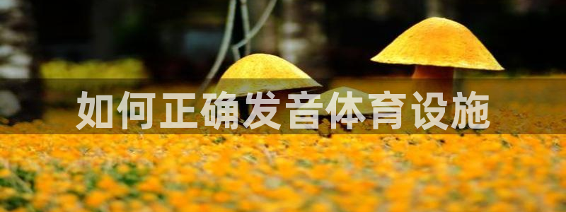 尊龙app认可ag发财网