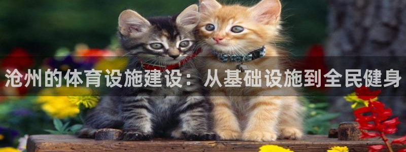 尊龙凯时请求参数不符合