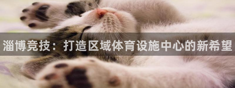 ag旗舰平台尊龙代言