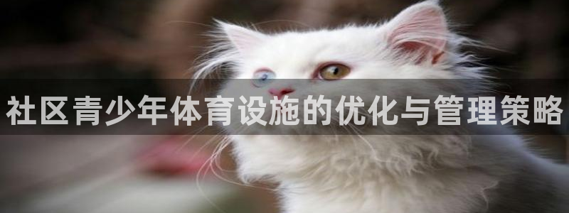 尊龙凯时代理佣金发不发